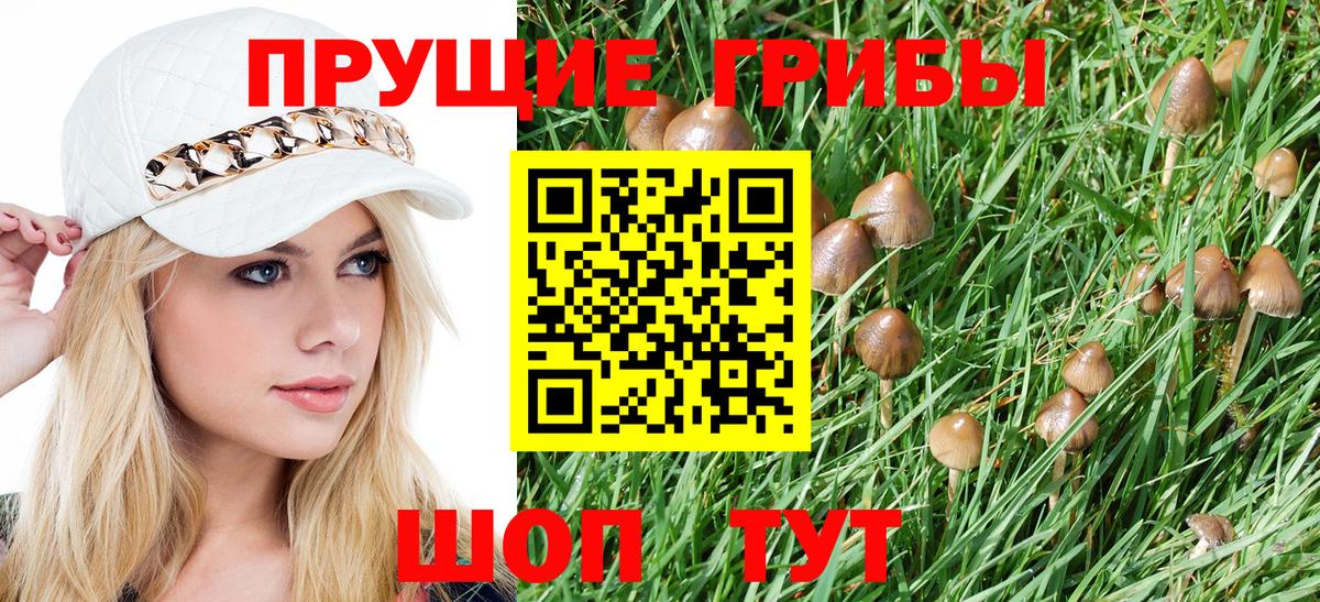 Псилоцибиновые грибы MAGIC MUSHROOMS Тамбов